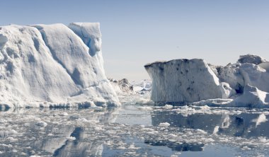 Mavi icebergs Grönland