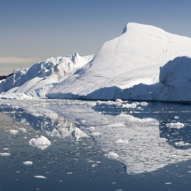 Mavi icebergs Grönland