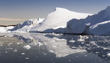 Mavi icebergs Grönland