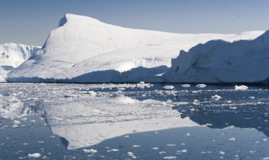 Mavi icebergs Grönland