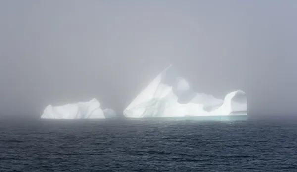 Blue icebergs of Greenland — Stock Photo, Image