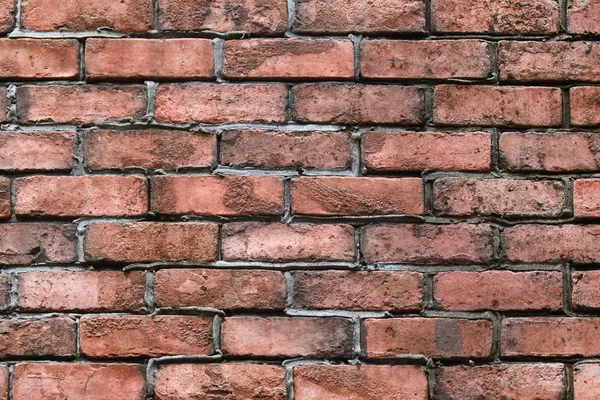 벽돌 벽의 배경 — 스톡 사진