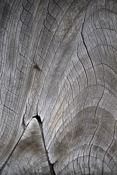 Textura de madeira vintage velha — Fotografia de Stock