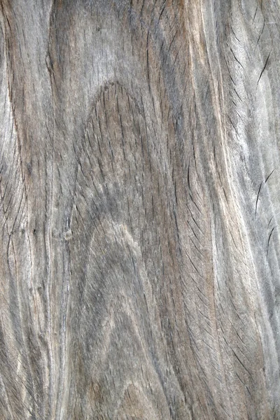 Textura madera — Foto de Stock