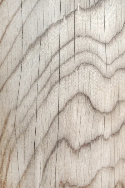 Textura madera — Foto de Stock