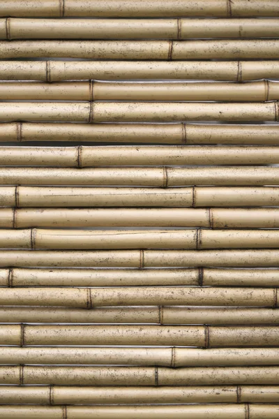 Bamboo background — Stock Photo, Image