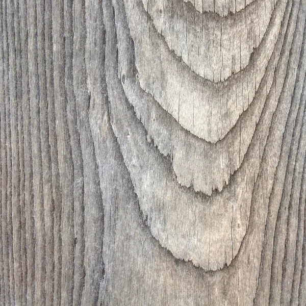 Textura de madera fondo — Foto de Stock