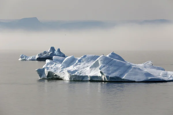 Ledu v Antarktidě — Stock fotografie