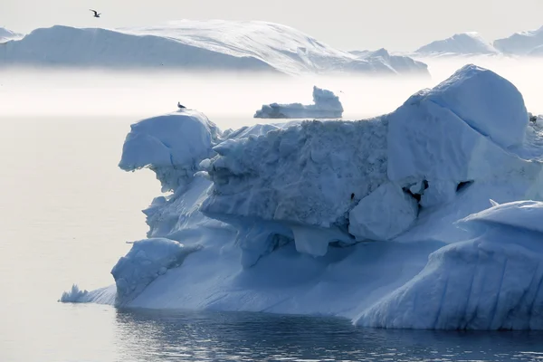 Eis in der Antarktis — Stockfoto