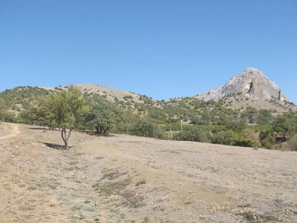 Camino Georgiano Las Montañas — Foto de Stock