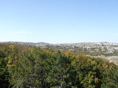 Vadideki orman, mavi gökyüzüne karşı.