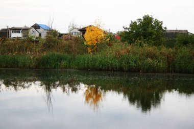 Nehir kıyısındaki köy Sarı bir ağacın arkasında