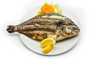 Beyaz tabakta ızgara Dorado.