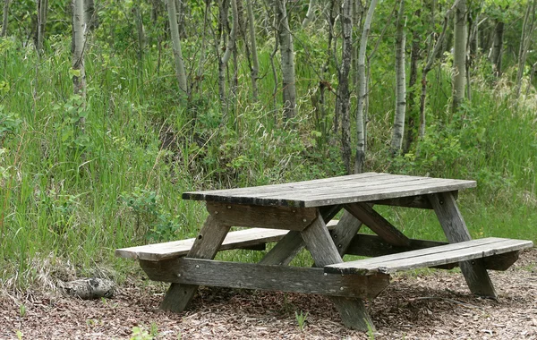 Väderbitna picknickbord i en skog — Stockfoto