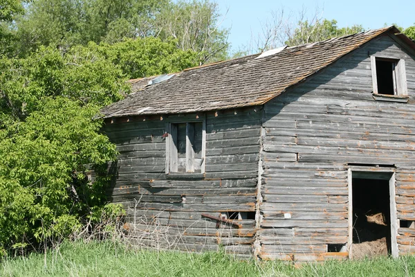 Grange abandonnée — Photo