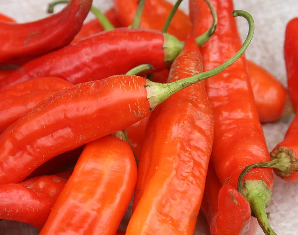 Red Peppers at the Otavalo Market — Stock Photo, Image