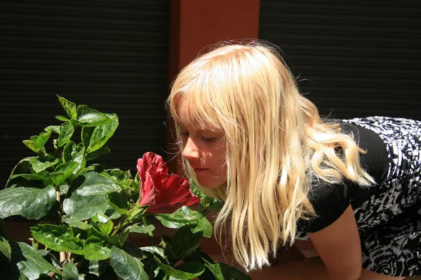 赤い花の臭いがします。 — ストック写真