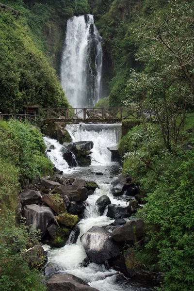 Waterfall and River — Stock Photo, Image