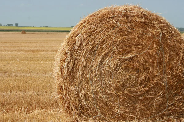 Straw Bale on Field — Stock Photo, Image