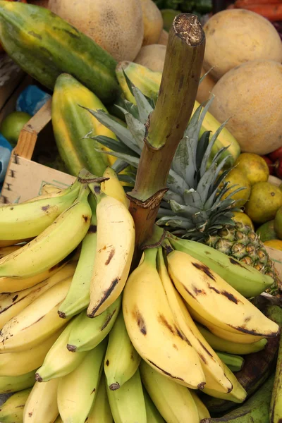 Bananas on a Stalk at the Market — Stock Photo, Image