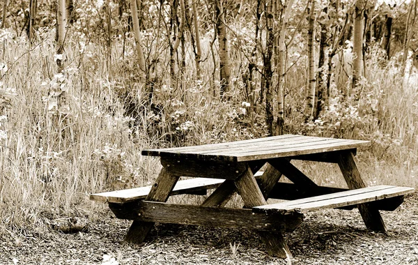 Väderbitna picknickbord i en skog — Stockfoto