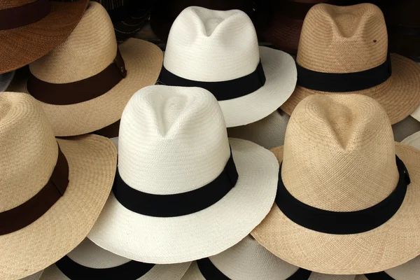 Kahverengi ve beyaz panama şapka — Stok fotoğraf