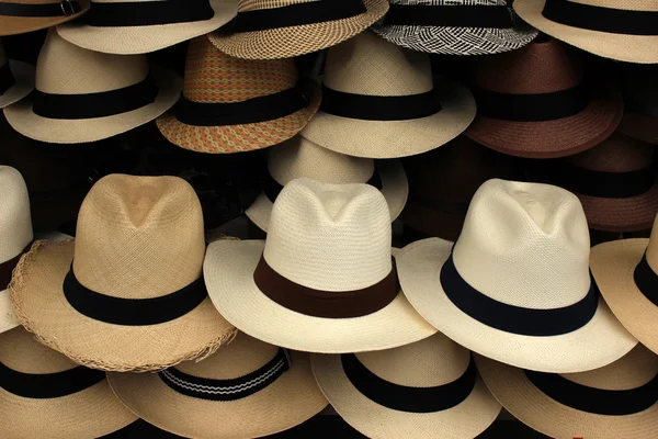 Panama şapka — Stok fotoğraf