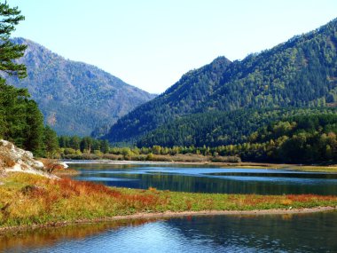 River Chemal, Altai Mountains clipart