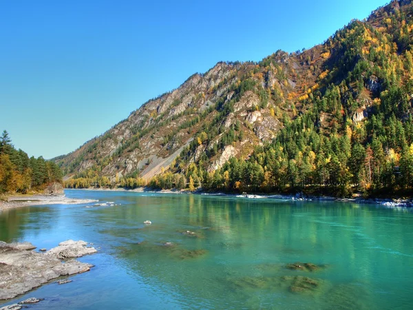 Río Katun, Altai — Foto de Stock
