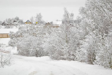Kış, köyün etrafındaki tüm ağaçlar karla kaplıdır.