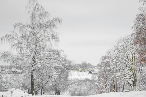Kış, köyün etrafındaki tüm ağaçlar karla kaplıdır.