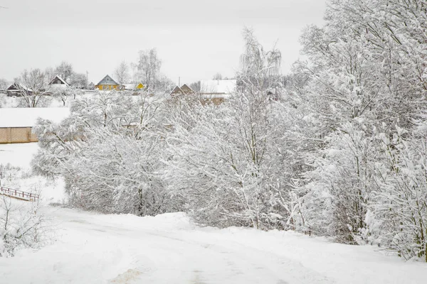 Kış, köyün etrafındaki tüm ağaçlar karla kaplıdır.
