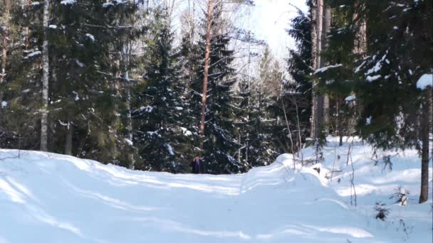 Man pratar på en mobiltelefon — Stockvideo