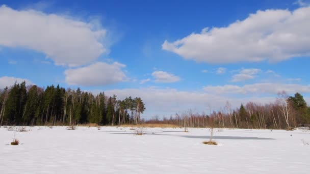 Pantano de invierno — Vídeo de stock