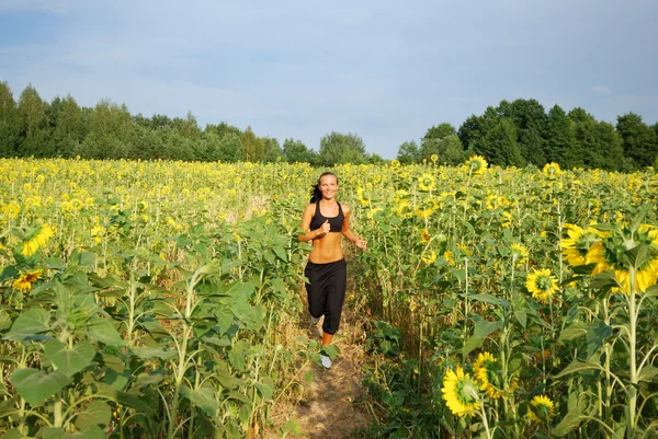 Morning jogging on sunflower field — Stock Photo, Image