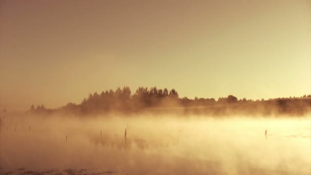 Mattina nebbiosa alba — Video Stock