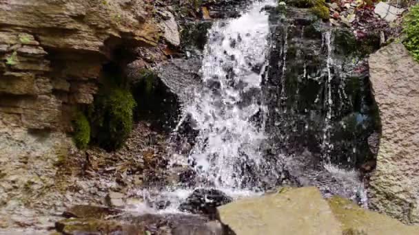 Litet vattenfall i höstlig skog — Stockvideo