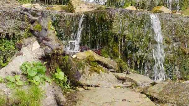 Pequeña cascada en bosque otoñal — Vídeos de Stock