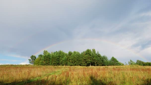 Regenbogenphänomen — Stockvideo