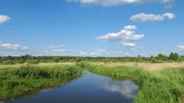 Paisaje verano — Vídeos de Stock