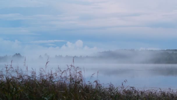 Nascita della nebbia sul lago — Video Stock