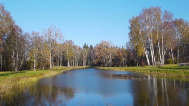 Autunno nel parco — Video Stock