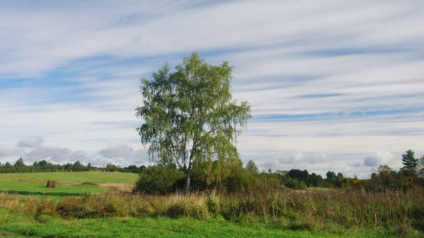 Het begin van de herfst — Stockvideo