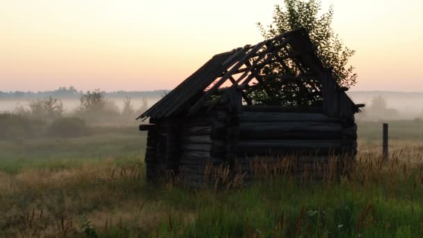 Sonnenaufgang über den Ruinen — Stockvideo