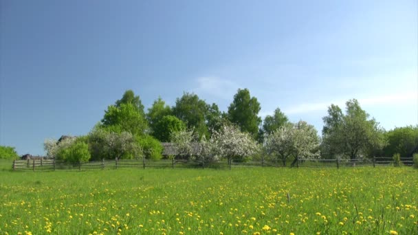 Сільський пейзаж з яблучним садом — стокове відео