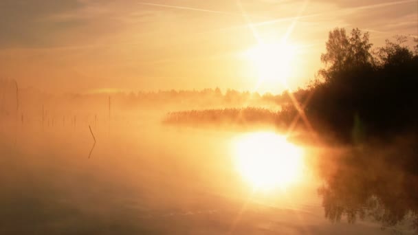 雾的早晨日出 — 图库视频影像