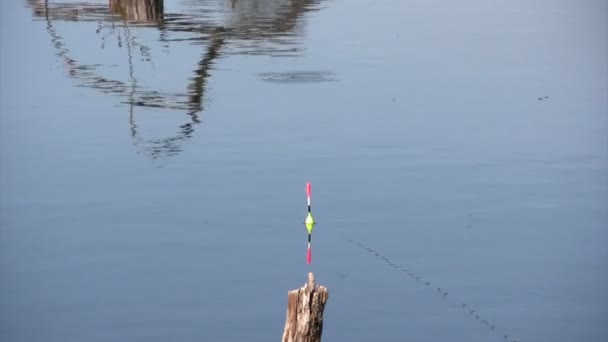 Morning fishing — Stock Footage Morning fishing Royalty Free Stock Footage