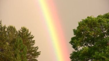 Gökkuşağının renkleri