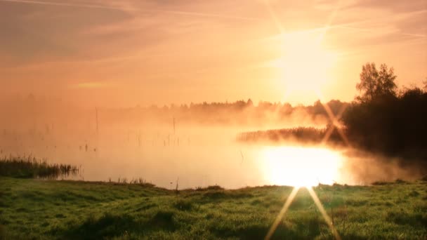 Wschód słońca na bagno — Wideo stockowe