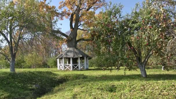 Laube im Herbstpark — Stockvideo